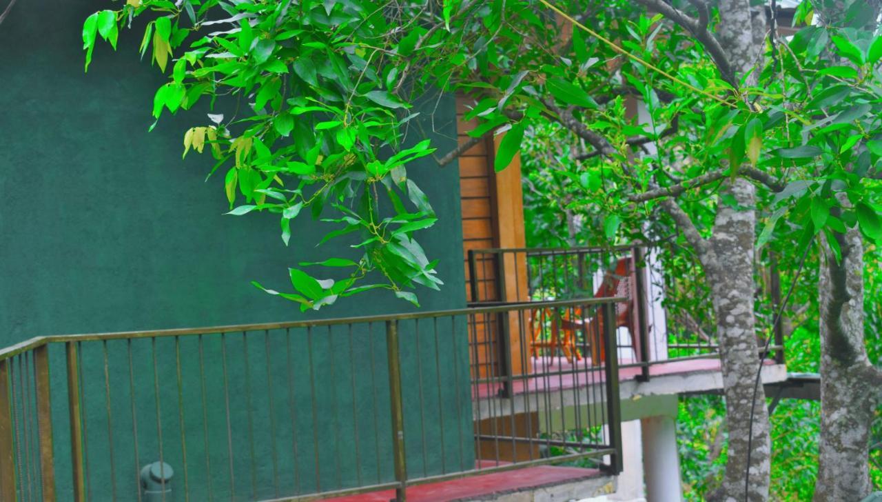 Green Cottage Procida Dış mekan fotoğraf