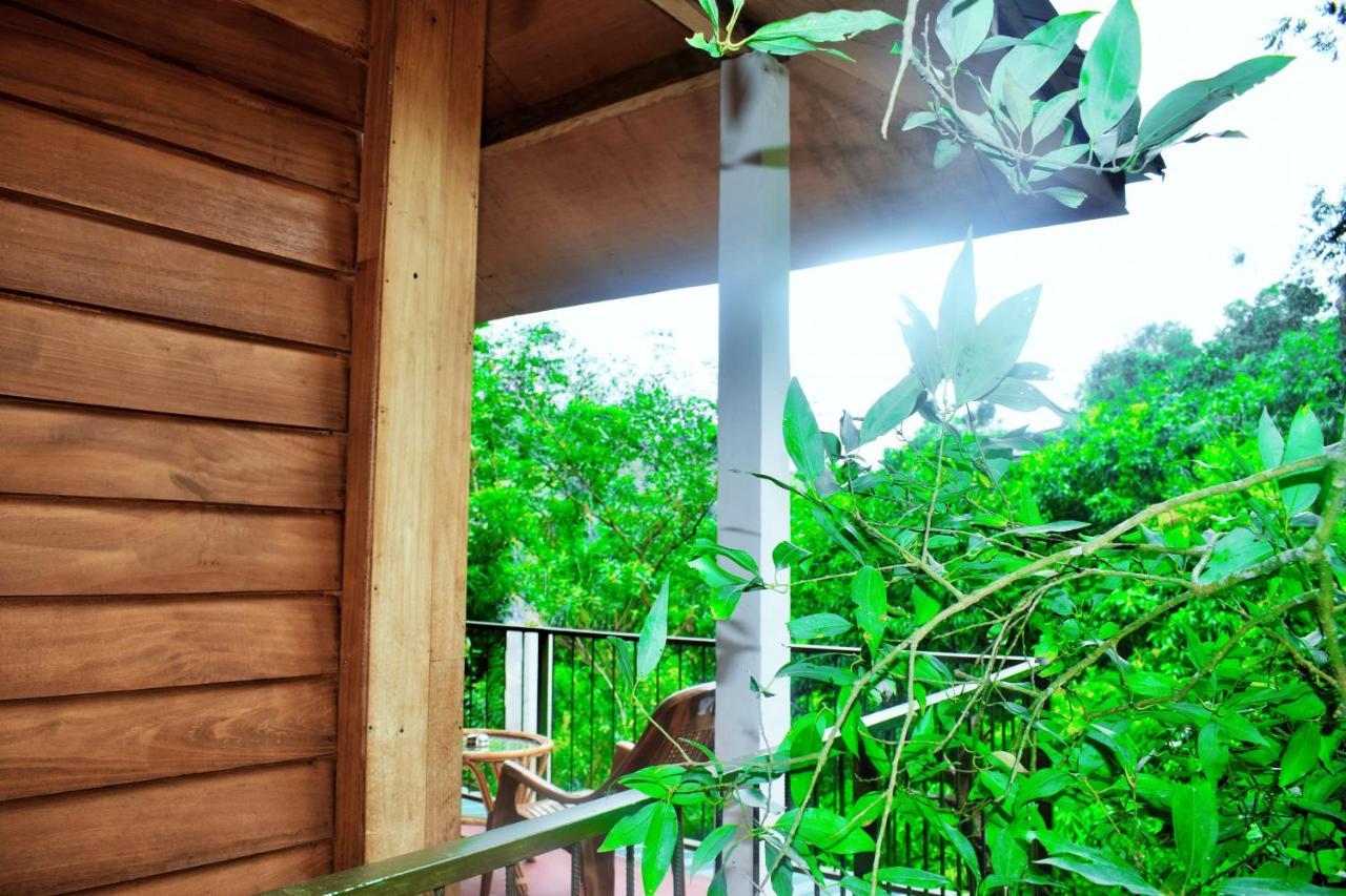 Green Cottage Procida Dış mekan fotoğraf