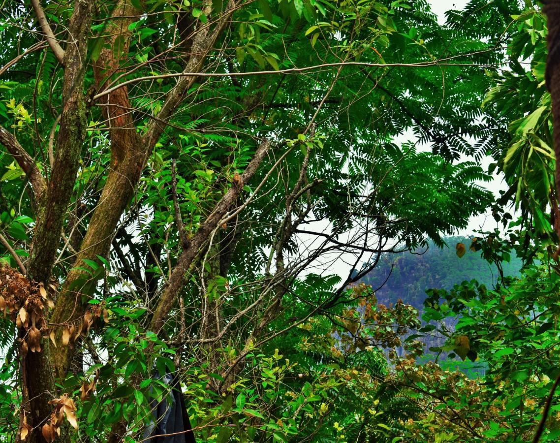 Green Cottage Procida Dış mekan fotoğraf